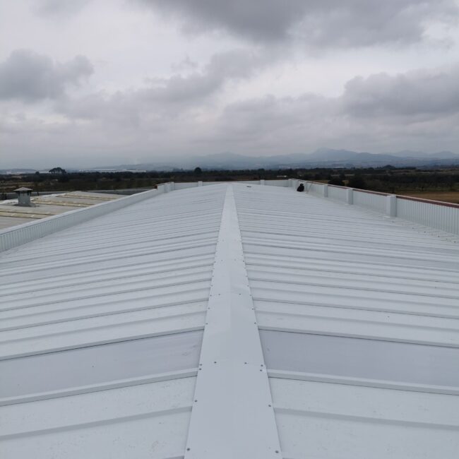 12. PROCESO – REHABILITACIÓN 3