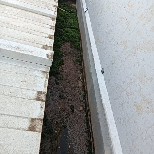 CANALES SELLADOS NAVE AMPOSTA ANTES 2