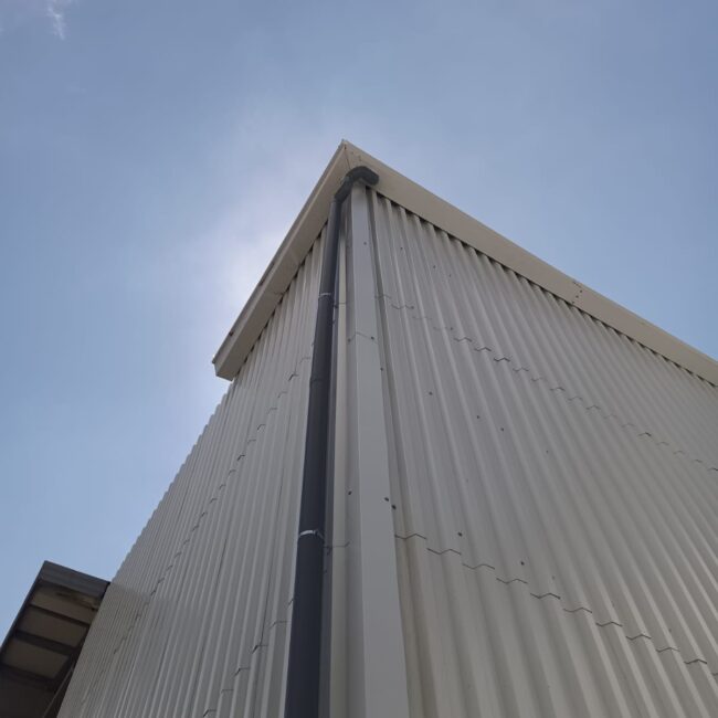 PROTEIN GIRONA DESPUES 3