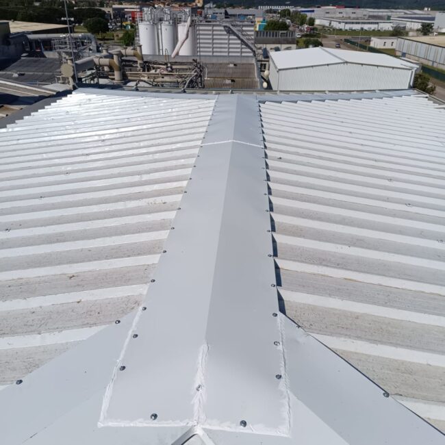 PROTEIN GIRONA DESPUES