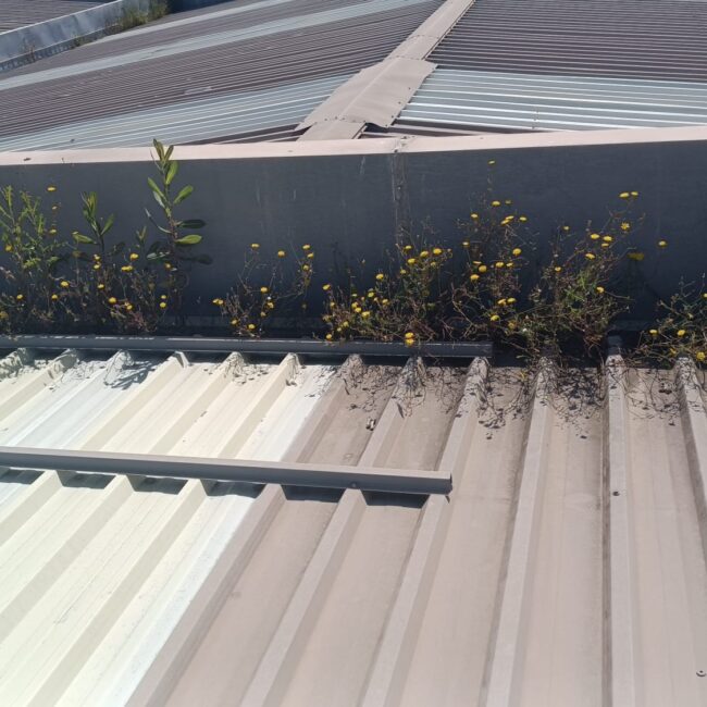 HIERROS ESCUDERO ANTES 1