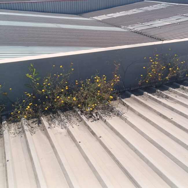 HIERROS ESCUDERO ANTES