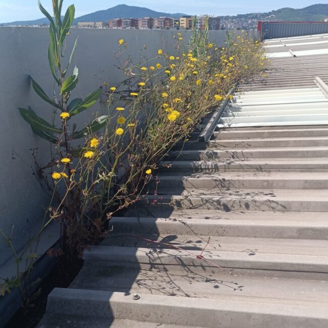 HIERROS ESCUDERO ANTES2