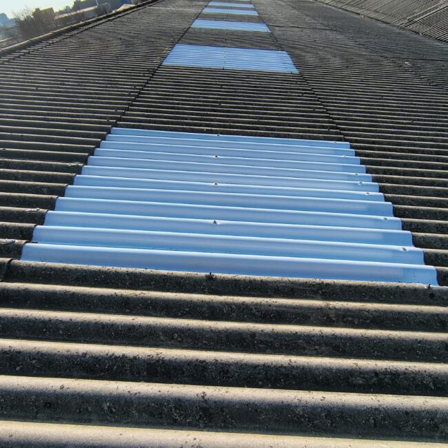 LUCERNARIOS BADALONA DESPUES 1