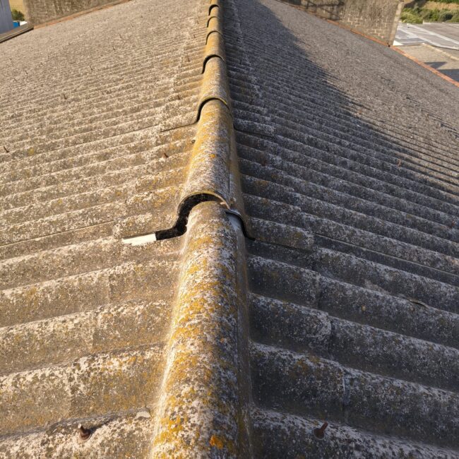 LUCERNARIOS CASTELLBISBAL ANTES